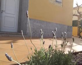 Sant | L'Escala