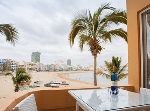 Mariposa Blanca | Las Palmas de Gran Canaria