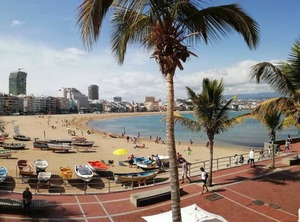 Mariposa Blanca | Las Palmas de Gran Canaria