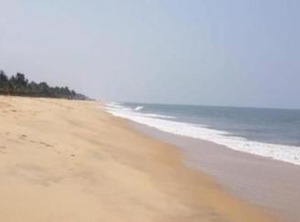 Marari Beach Villas | Mararikulam