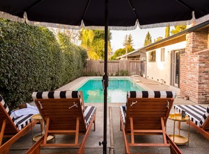 Marigold | Bennett Valley