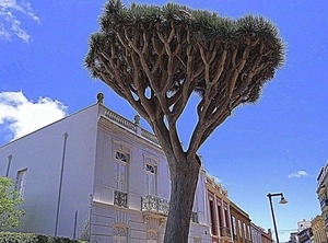 La Laguna | Historical Center