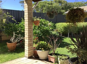 Memories | West Busselton