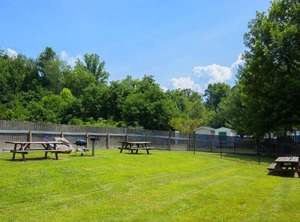 Microtel Inn | Cherokee