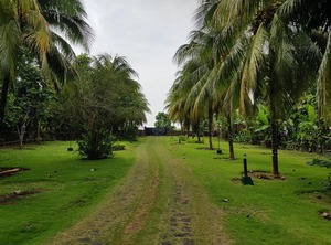 Guesthouse | Agua Grande