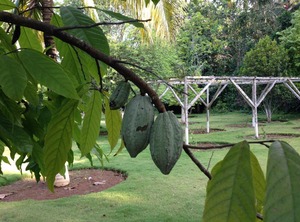 Guesthouse | Agua Grande
