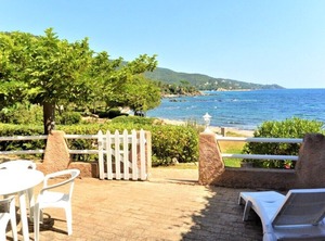 Canella Favone Conca Corse | Favone