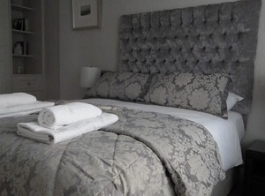 The Arena | Ballsbridge