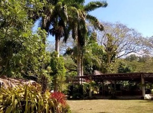 Montego Bay Block | Mango Walk