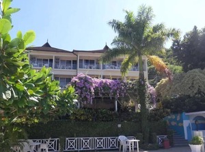 Montego Bay Block | Mango Walk