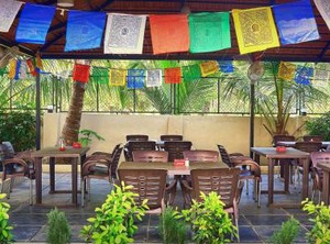 Moustache Goa Cowork Hostel | Mandrem