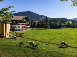 Wassererlehen Bischofswiesen | Bischofswiesen