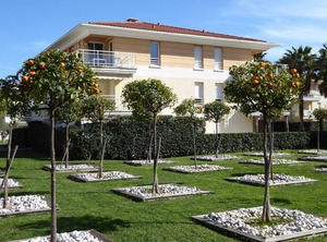 Antibes | Plaine de la Brague
