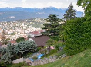 Nido Rondine | Aldesago