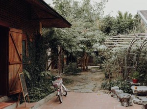 Ninh Palm Homestay | Gia Vien