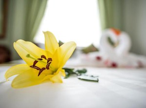 Boutique Hotel | Chamkar Mon