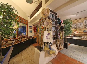 Ocean Point Resort Adults | Dickenson Bay