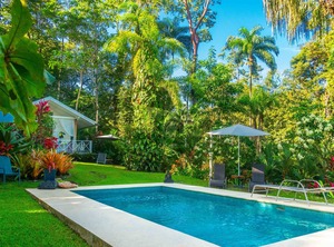 Ocean Property The Jungle At Beach | Punta Uva