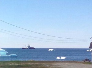 Oceanside | Bonavista