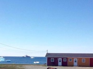 Oceanside | Bonavista