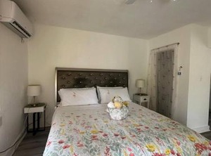 Boutique Downtown Wpb | West Palm Beach