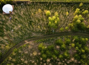 The Farm Camp | Winsley