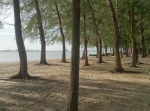 Casa Pantai Puteri Homestay | Tanjung Kling