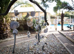 Paradiso Backpackers | Nelson