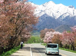 Pension Hoshi Ni Negaiwo | Furano