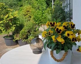 Pension Mark | Hoyerswerda