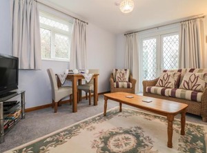 Peonies Exmouth | Exmouth