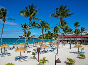 Pineapple Beach Club All Adult | Willikies