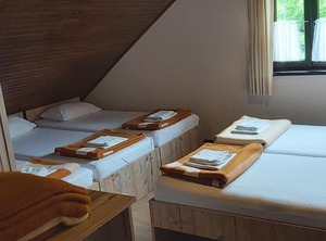 Planinski Dom Gore | Hrastnik