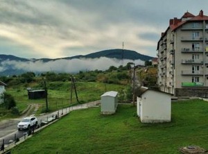 Polyana | Polyana