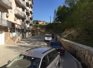 Polyana | Polyana