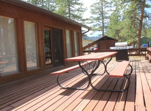 Ponderosa Pines | Ponderosa Pines