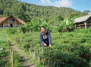 Pondok | Kintamani