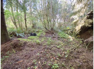 Tent Site Forks | Forks