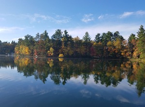 Lakefront Peninsula Of Bass | Remer