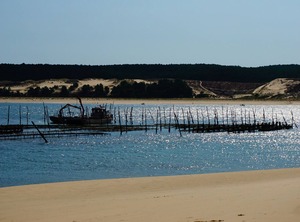 La Pinasse | Gujan-Mestras