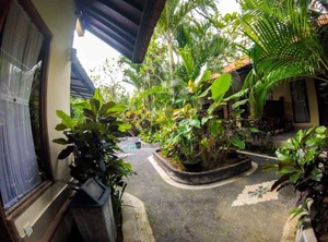Putu | Berawa