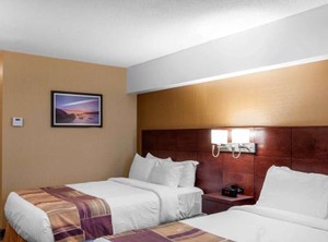 Quality Hotel | Gander