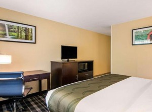 Quality Inn | Albany