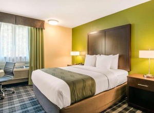 Quality Inn | Albany