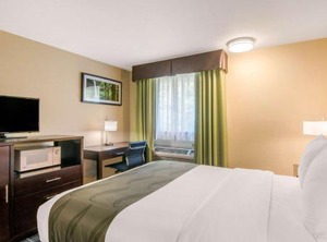 Quality Inn | Albany