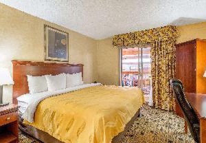 Quality Inn Wings Stadium | Coldwater