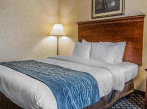 Quality Inn Wings Stadium | Coldwater