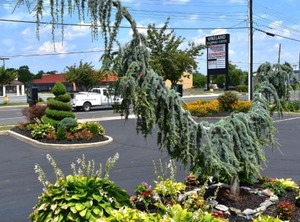 Quality Inn Vineland Millville | Vineland