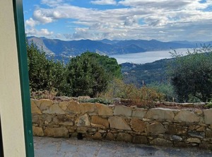 Santa Margherita Ligure | San Lorenzo della Costa