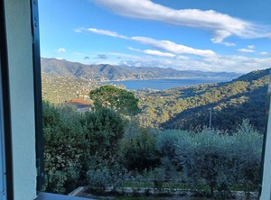Santa Margherita Ligure | San Lorenzo della Costa